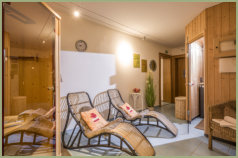 Wellness with sauna and infrared cabin Brixana