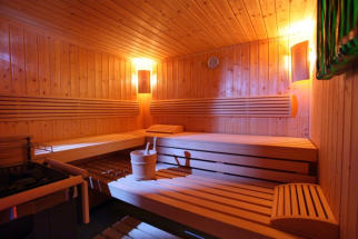 Brixana Wellness Sauna vs Sanarium