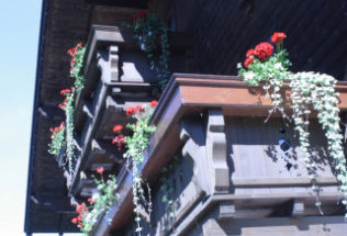 Balcon de fleurs Brixana