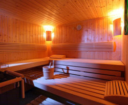 Sauna Brixana