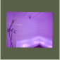 Brixana Wellness Dampfbad