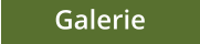 Galerie