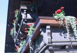 Brixana Wintergarten
