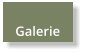 Galerie