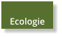 Ecologie